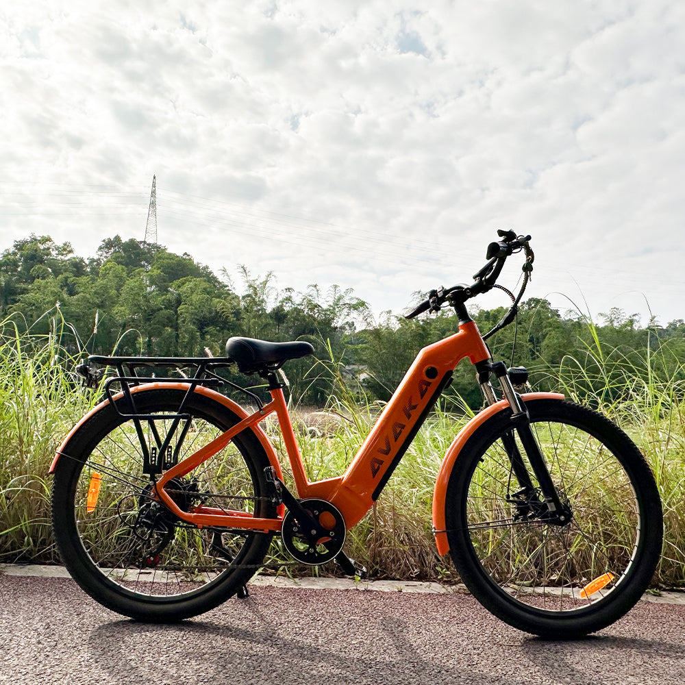 Bicicletta elettrica da città AVAKA K200